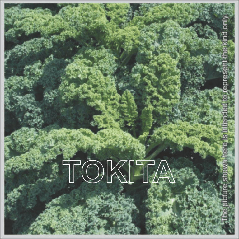 Kale TSX 074 