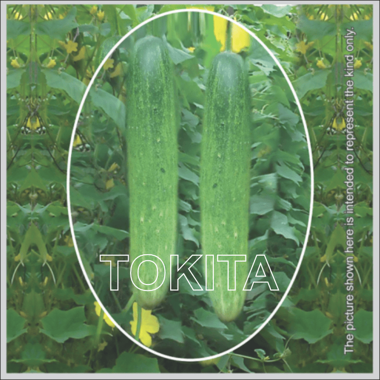TSX 201 