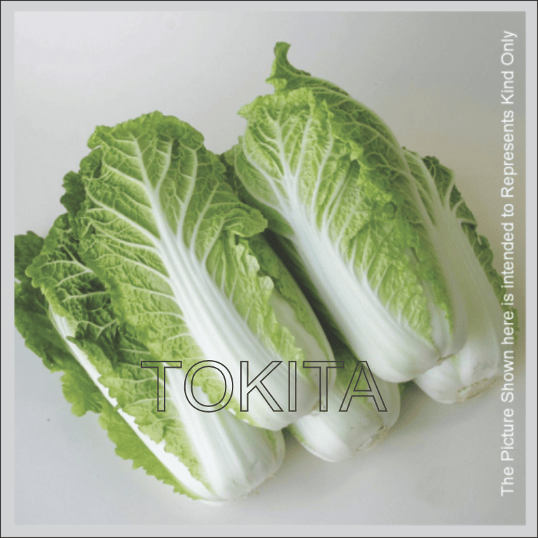 Chinees Cabbage Baby Spring Sun 60 